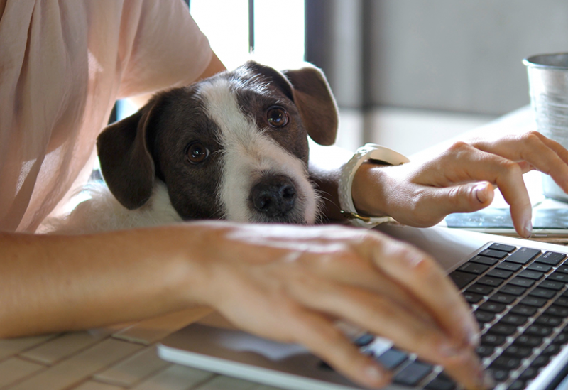 Remote Workers Lms