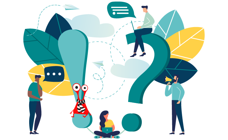 Everything to know about lmses